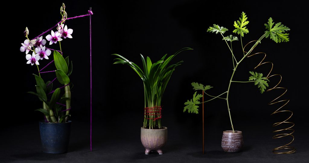 Profielen - Docent-als-coach-liggend-opening