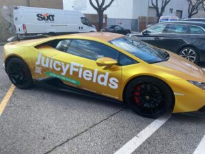 juicyfields-lamborghini